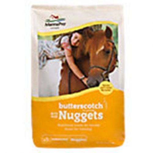 Bite Size Nuggets Horse Treats Wholesome Nutrition Reward Equine Butterscotch 5#
