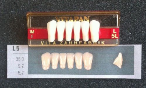 Vitapan Denture Teeth   L5L    1M1