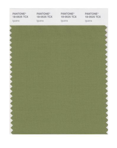PANTONE SMART 18-0525X Color Swatch Card, Iguana
