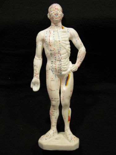 Rubber White Figure Toy Depicting Human Nervous System 10.5”