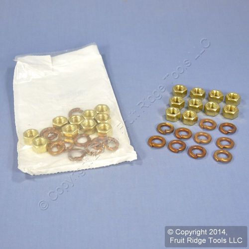 20 Leviton 16 Series Panel Receptacle Brass Hex Nuts &amp; Copper Lockwashers A0009
