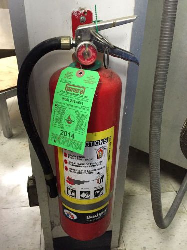 Badger 8 lb ABC Fire Extinguisher w/ Wall Hook USED SERVICED!