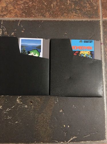 Lot Of 2 NES Games