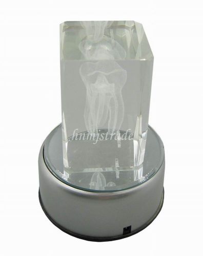 Dental Crystal LED Artware Rotation Automatically With Power G048 hnm