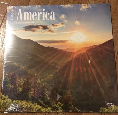 2016 America Brown Trout Earth Friendly 18 Month Calendar 2016 New