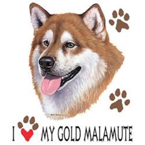 Love My Gold Malamute Dog HEAT PRESS TRANSFER for T Shirt Tote Sweatshirt  802f