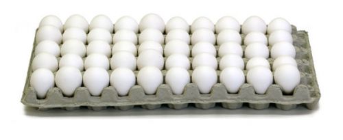 Pkg 100 Quail Egg Trays Paper Mache