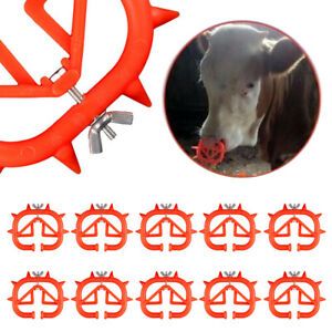 10x Cow Cattle Calving Weaning Feeding Calf Weaners Nose Wean Ring Farm Tool