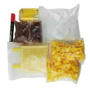 Queen Rearing Cup Kit System Queen Bee Breeding Bee Plastic Box Equipment