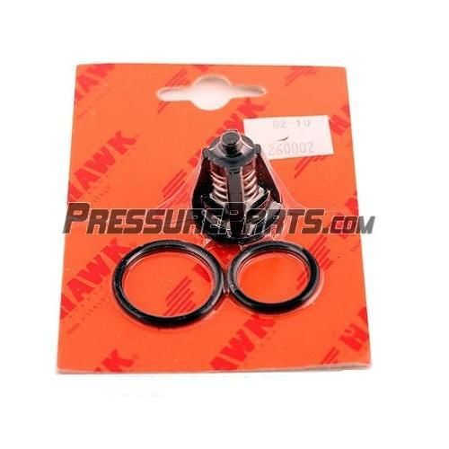 Hotsy / Hawk # 877648 Check valve    For Hotsy Pressure Washers