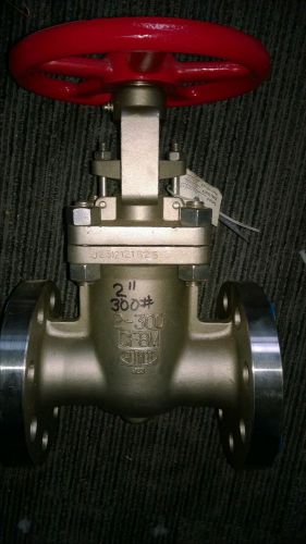 Aloyco 2&#034;, stainless steel flange gate valve 300lbs. for sale