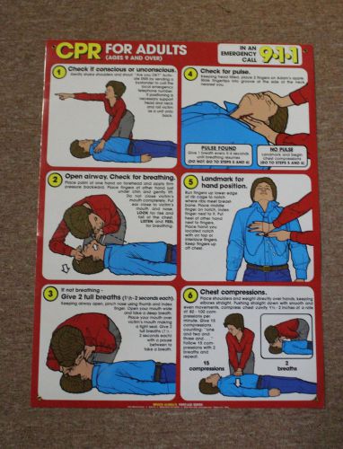 Laminated Poster CPR for Adults Bruce Algra