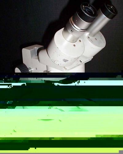 Meiji EMT Stereozoom Microscope 10/20X on lower illumination desktop stand