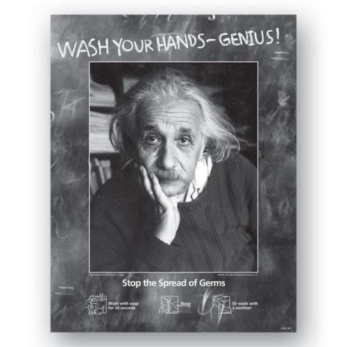22&#034;W x 28&#034;H - Einstein  Wash Your Hands 1 ea