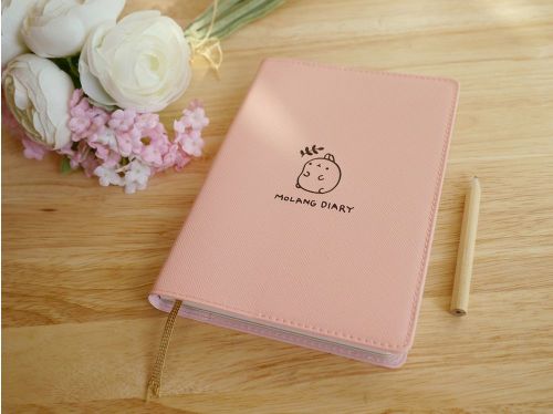 Cute Kawaii Molang Sticker Diary ver.3 (2015~2016) Undated planner journal Pink