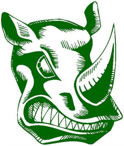 30 Custom Green Fierce Rhino Personalized Address Labels