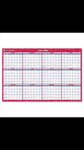 Erasable Vertical/Horizontal Wall Planner, 32 x 48, Blue/Red, 2015