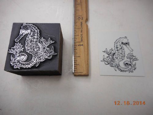 Letterpress Printing Printers Block, Amazing Seahorse, Marine Fish