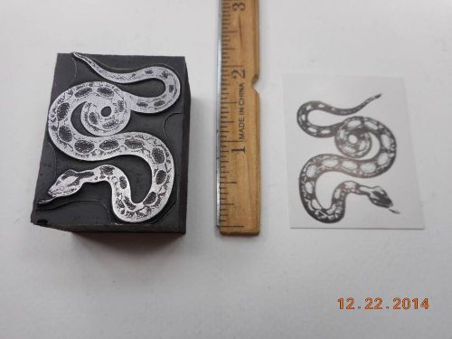 Letterpress Printing Printers Block, Slithering Snake w Forked Tongue