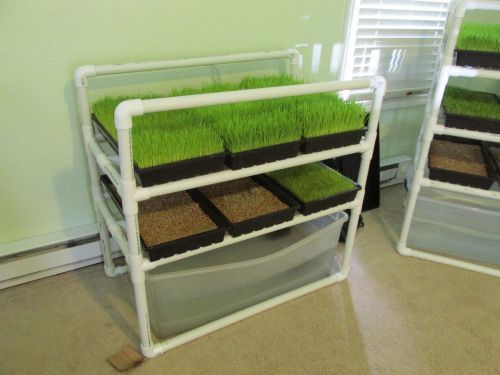 6 Tray Expandable Automated Fodder System - Complete Plans
