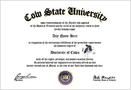 Cows Diploma - Cow Lover Diploma