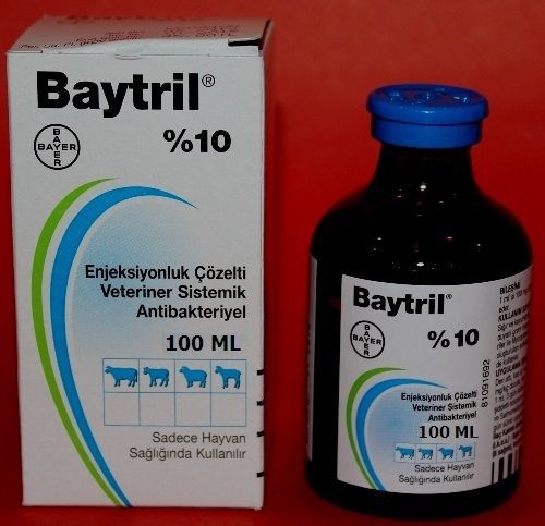 Baytril 10% 100 Enrofloxacin ENJ used only in animal health DOG CAT CATTLE SHEEP