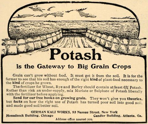 1907 ad german kali works potash grain crop plant food - original cg1 for sale