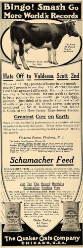 1913 Ad Schumacher Cow Feed Valdessa Scott Quaker Oats - ORIGINAL CL8