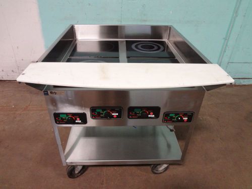 &#034;MR INDUCTION&#034; COMMERCIAL H.D.ELECTRIC INDUCTION WARMERS ON STAINLESS STEEL CART