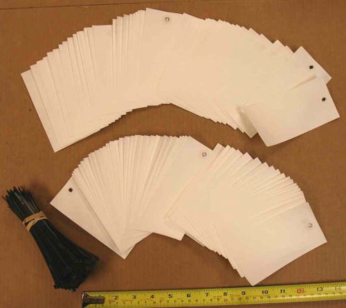100 new #6 Tyvek  inventory shipping tags &amp; 100 tie wraps 5-1/4&#034; x  2-5/8&#034;