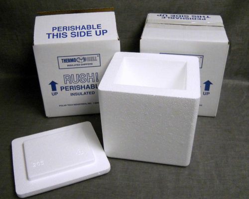 lot of 2 Polar Tech 205C Thermo Chill Insulated Carton with Foam Shipper Small