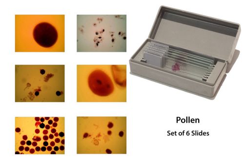 Microscopy Prepared Slides: Pollen - Set of 6