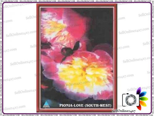 Peony love radiant feng shui flower paintings bedroom for couples for sale