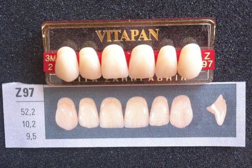 Vitapan Denture Teeth   Z97    3M2