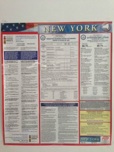 2015 LABOR LAW POSTER NY and Federal all in one, workplace compliance poster