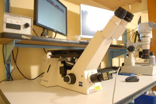 Zeiss Axiovert 25 Material Science Inverted Microscope