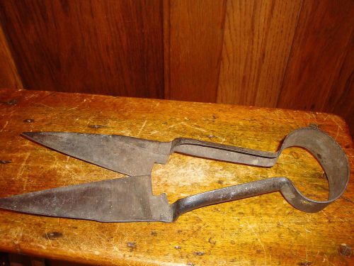 Sheep Shears Garden Cutters Scissors Pair Steel Metal Vintage Antique
