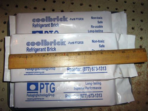 4 PTG Coolbrick Refrigerant Brick Shipping Packing Ice Gel Pack Nontoxic