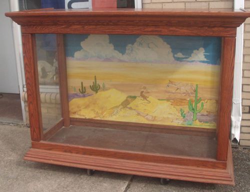 Vintage GIANT Oak Wood and Glass Display Case  / Reptile  NICE!