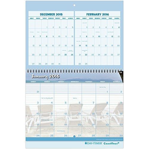 Day-Timer Three-Month Wall Calendar 2016, 12 Months, 11 x 17 Inches, Wirebound,