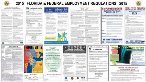2015 Florida and Federal all in one LABOR LAW POSTER workplace compliance