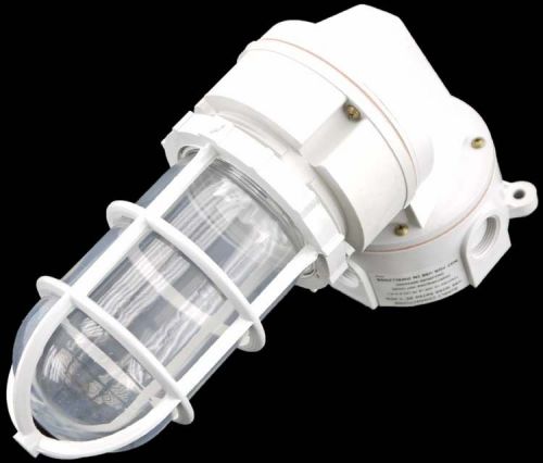 NEW RAL Rig-A-Lite CPV26F12HRGW Outdoor Electric Lamp Light Fixture Enclosure
