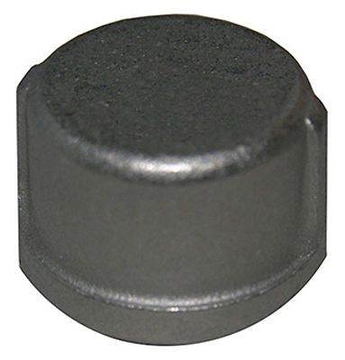 Larsen supply co., inc. - 1/2&#034; ss pipe cap for sale