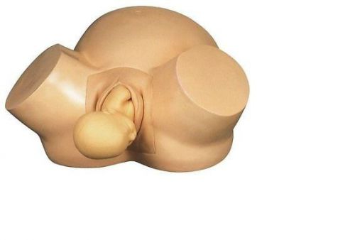 ISO Vacuum baby Delivery Model Advanced midwifery training model  Aei-218