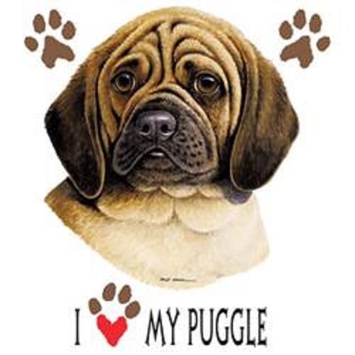 I Love My Puggle Dog HEAT PRESS TRANSFER for T Shirt Tote Sweatshirt Fabric 896m