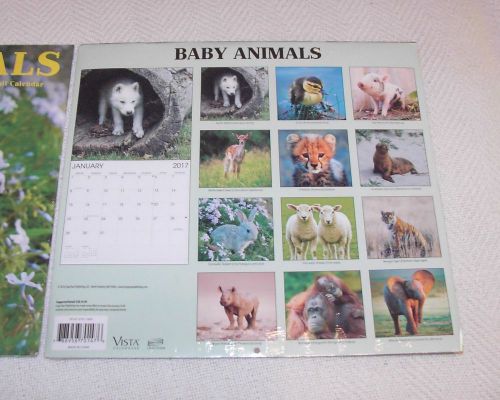 Baby animals 2017 calendar - 16 month wall calendar -full color pictures for sale