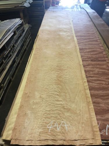 Wood Veneer Birdseye Maple 15x100 4Pcs Total Raw Veneer &#034;EXOTIC&#034; 47A MEX