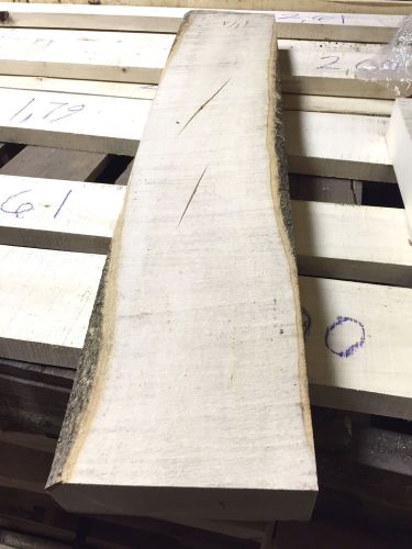 ** 8/4 ** (2&#034; thick!) holly american lumber white wood - kd, (read description!) for sale