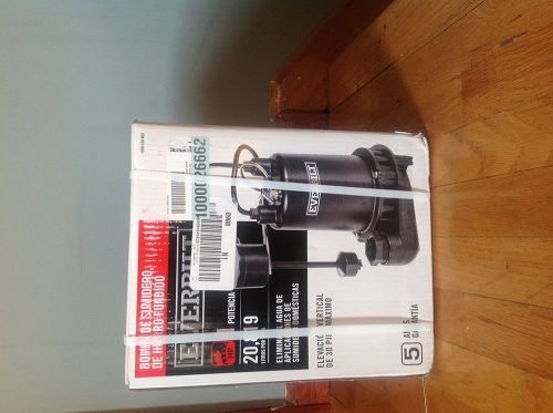 Everbilt 1 hp professional sump pump for sale