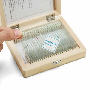 US Swift Optical Microscope Slides Prepared Slides/Blank Slides Pieces Covers